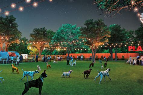 fetch dog park alpharetta|fetch park pet friendly.